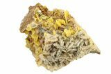 Bright Yellow Wulfenite on Dolomite - Morocco #258051-1